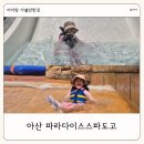 파라다이스스파 | 충남 아이랑 가볼만한 곳 아산 파라다이스스파도고 워터파크 온천 후기