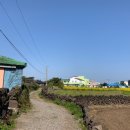 구좌농협주유소 이미지