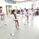 경희대장하태권도 이미지