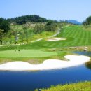 G존골프 이미지