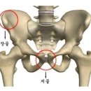 이화피닉스요양병원 이미지