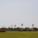 말미목장 이미지