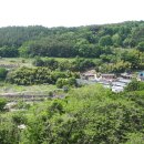 6091농장 이미지