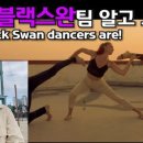 (주)팀스완 이미지