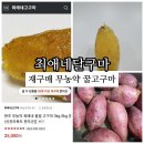 최애네고구마