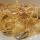 파스타숲 이미지