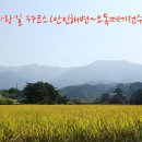 해파랑길 37코스 바우길 07구간 이미지