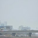 홍천강 이야기 | 홍천강 꽁꽁축제 슈퍼인삼송어 잡기 주차정보 실내송어낚시 회포장 후기