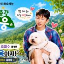 🚨 긴급속보 ⁉️ 시월이가 또 ㅎㅎ 🐶 이미지