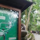 발리 우붓/몽키포레스트&amp;짬뿌한 릿지 워크(Monkey Forest&amp;Campuhan Ridge Walk)