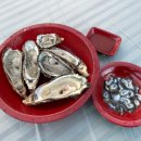 까사도라다 독채 풀빌라 이미지