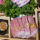 참치는못참치 이미지