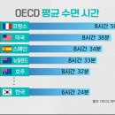 코슬립수면의원