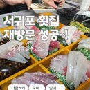 고미낙지 | 제주 서귀포 횟집 고미횟집 4인 특스페셜 재방문 솔직후기