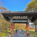 대한노인회 남면분회 | 2. 충남부여 무량사(2025.11.6)