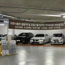 미미담 이미지