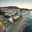 메디타운 이미지