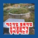 신봉1로430번길 | 예초작업 벌목작업 묘지깔끔하게 정리잘하는곳