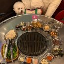 달빛돈가 | [속초] 강아지와 편하게 갈 수 있는 곳, 주차 편하고 애견동반 가능한 달빛돈가 후기