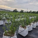 라라농장 이미지