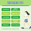 라이프패킹