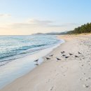 하이힐팬션 | 강릉 경포해변 6월 초여름 — 개장 전 한산한 동해와 경포호 노을 산책