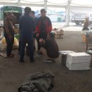 임회면 십일시장 이미지