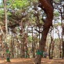 주산초병설유치원 이미지