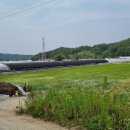 가천면사무소 앞 이미지