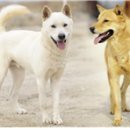 영구축산 이미지