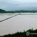 구포리 17-17 이미지