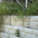 디엠태양광발전소 이미지