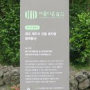 선흘리 백서향 및 변산일엽군락 | 제주 26일차 선흘리 동백동산 2024.06.05