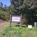 무한천어죽 이미지