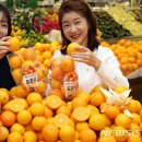 황금향 이미지