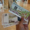 보르도애플스테이 이미지