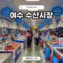 회마당 | 여수 수산시장 회포장 맛집 참돔 가격 내돈내산 후기