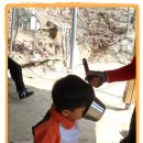 나막골약수터 이미지