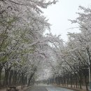 우천중학교 이미지