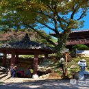 오전약수관광지 이미지