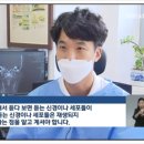 시화이비인후과의원 네이버블로그