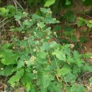 항아리황토방 이미지