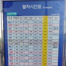 순천역 티스토리