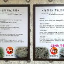 알오삼계탕 이미지