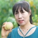 주도리 농장 이미지