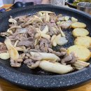 오리애반한가 이미지