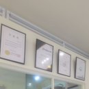 고양이 무마취 미용 냥털도둑 이미지