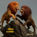 한 우리에 두 수컷을 이미지