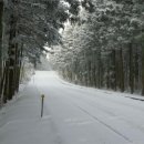 생태숲야외화장실 이미지