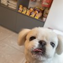 은하수 동물병원 이미지